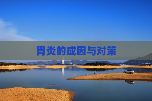 胃炎的成因与对策