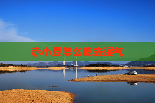 赤小豆怎么吃去湿气