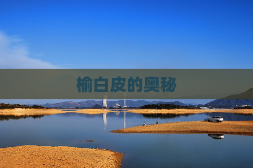 榆白皮的奥秘