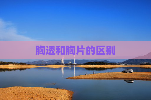 胸透和胸片的区别