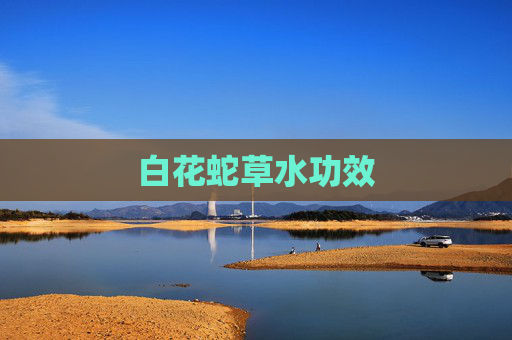 白花蛇草水功效