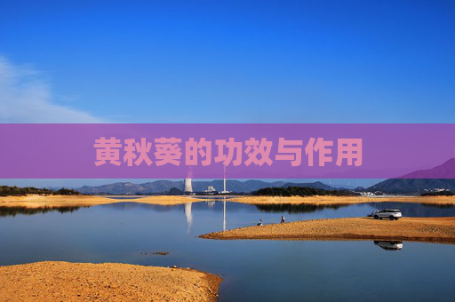 黄秋葵的功效与作用