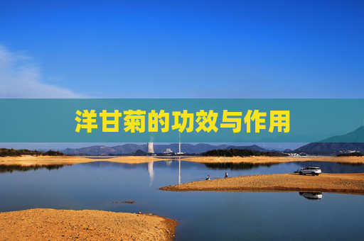 洋甘菊的功效与作用