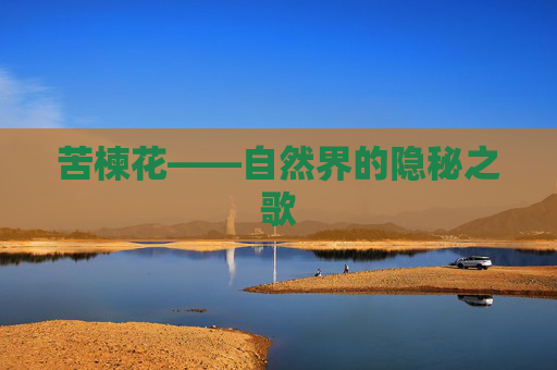 苦楝花——自然界的隐秘之歌