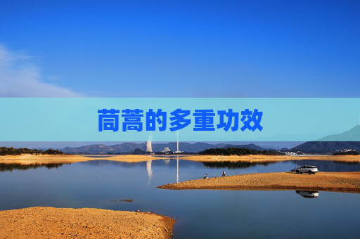 茼蒿的多重功效