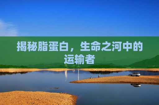 揭秘脂蛋白，生命之河中的运输者