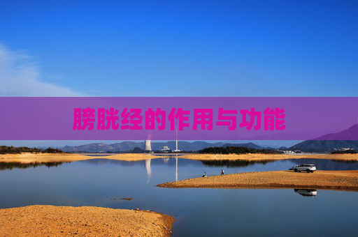 膀胱经的作用与功能