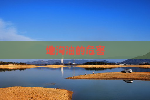 地沟油的危害