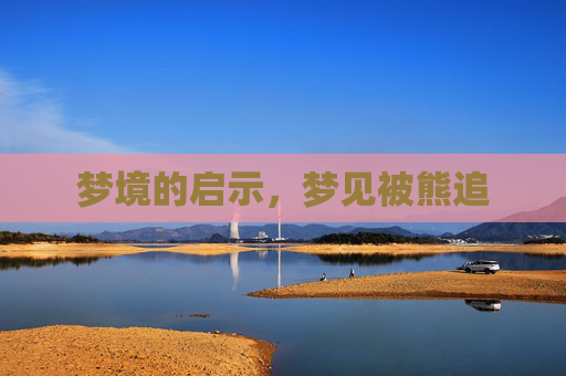 梦境的启示，梦见被熊追