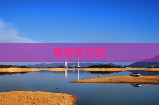 龟苓膏功效