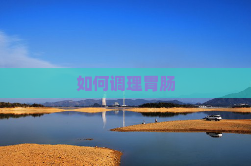 如何调理胃肠