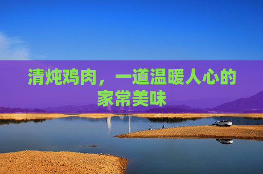 清炖鸡肉，一道温暖人心的家常美味