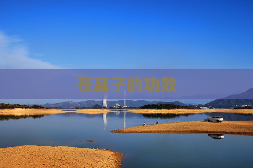苍耳子的功效