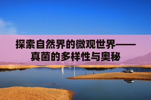 探索自然界的微观世界——真菌的多样性与奥秘