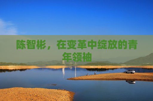 陈智彬，在变革中绽放的青年领袖