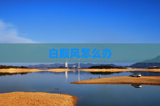 白殿风怎么办