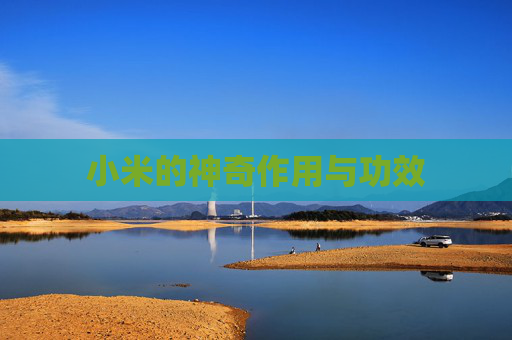 小米的神奇作用与功效