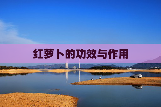 红萝卜的功效与作用