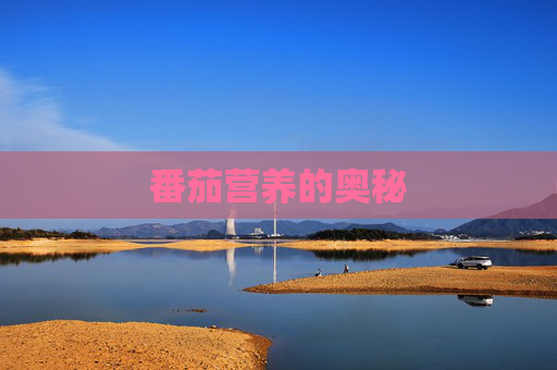 番茄营养的奥秘