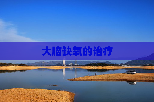 大脑缺氧的治疗