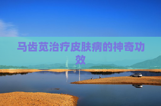 马齿苋治疗皮肤病的神奇功效
