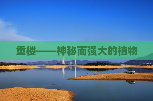 重楼——神秘而强大的植物