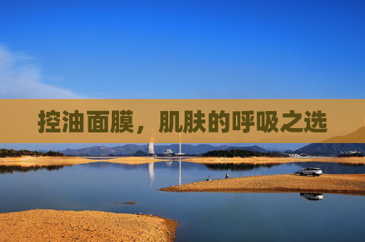 控油面膜，肌肤的呼吸之选
