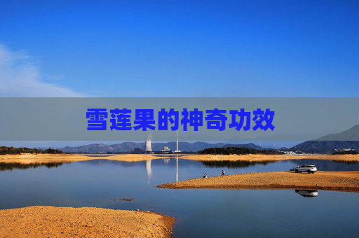 雪莲果的神奇功效