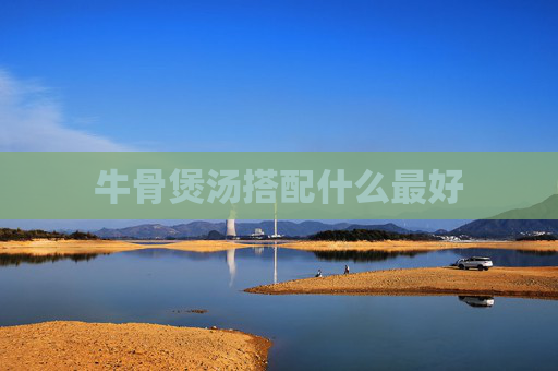 牛骨煲汤搭配什么最好