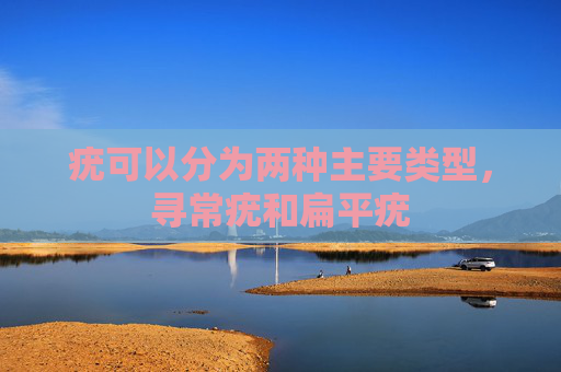 疣可以分为两种主要类型，寻常疣和扁平疣