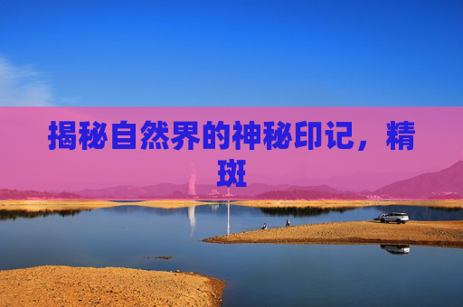 揭秘自然界的神秘印记，精斑