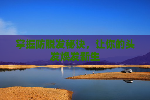 掌握防脱发秘诀，让你的头发焕发新生