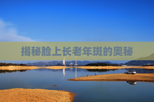 揭秘脸上长老年斑的奥秘