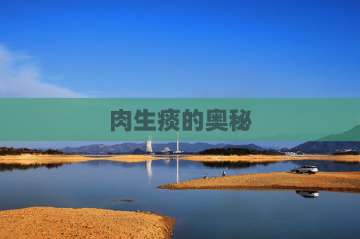 肉生痰的奥秘