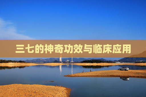 三七的神奇功效与临床应用
