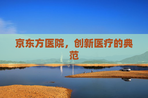 京东方医院，创新医疗的典范