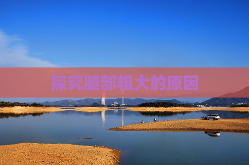 探究腿部粗大的原因