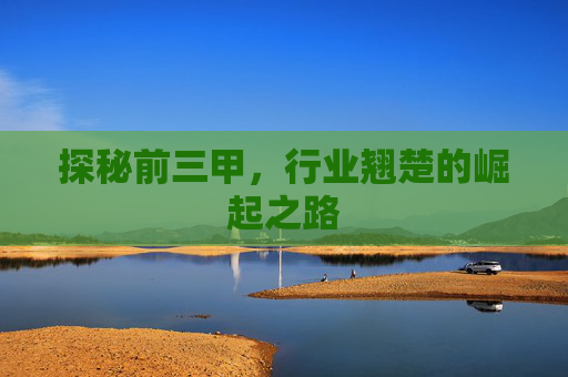 探秘前三甲，行业翘楚的崛起之路