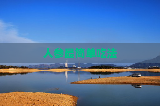 人参最简单吃法