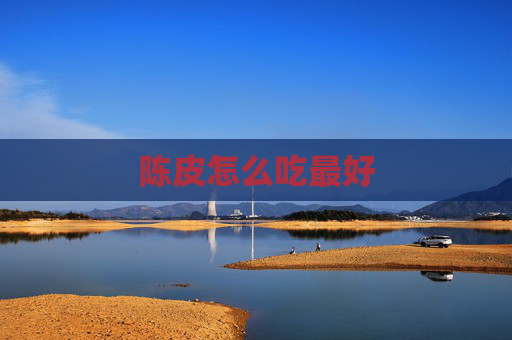 陈皮怎么吃最好