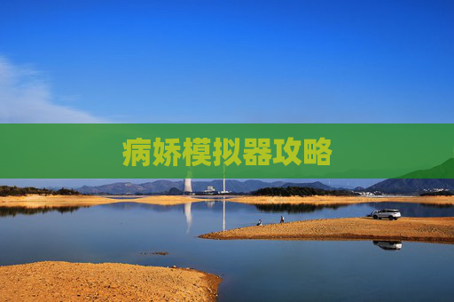 病娇模拟器攻略