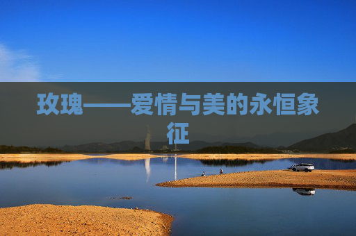 玫瑰——爱情与美的永恒象征