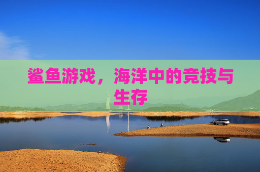鲨鱼游戏，海洋中的竞技与生存