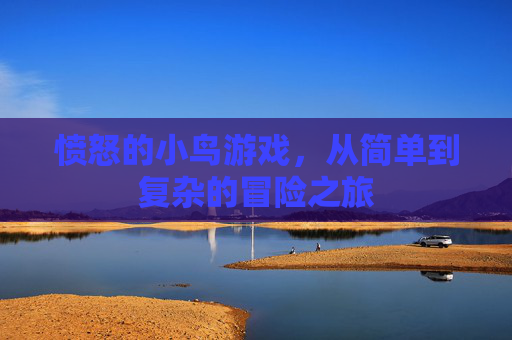 愤怒的小鸟游戏，从简单到复杂的冒险之旅