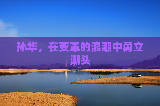 孙华，在变革的浪潮中勇立潮头