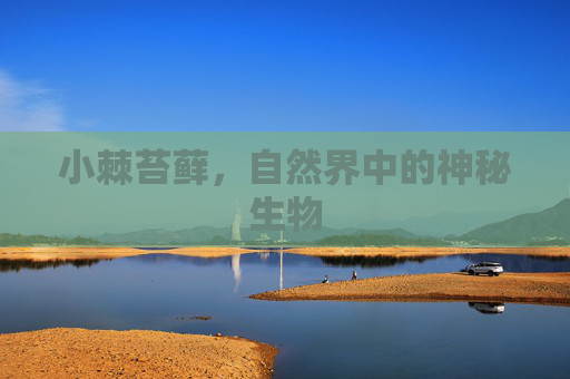小棘苔藓，自然界中的神秘生物