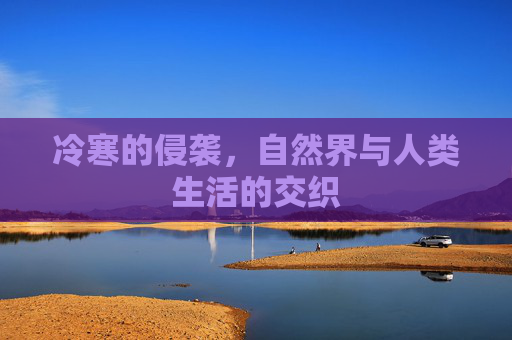冷寒的侵袭，自然界与人类生活的交织