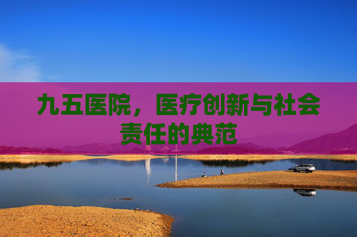 九五医院，医疗创新与社会责任的典范
