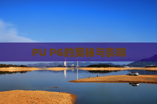 PU PG的奥秘与影响