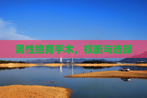 男性绝育手术，权衡与选择